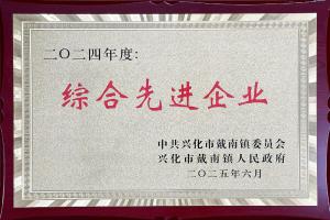 综合先进企业